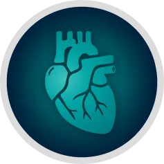 Heart icon with detailed coronary vasculature on teal circular badge, representing Riverain Technologies ClearRead CT CAC module for coronary artery calcium assessment.
